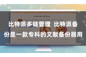 比特派多链管理 比特派备份是一款专科的文献备份器用