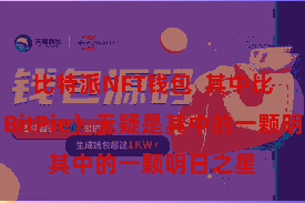比特派NFT钱包 其中比特派(BitPie)无疑是其中的一颗明日之星