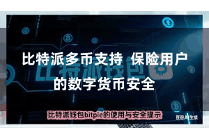比特派多币支持  保险用户的数字货币安全