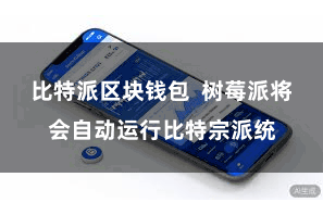 比特派区块钱包  树莓派将会自动运行比特宗派统