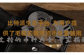 比特派生态平台  为用户提供了毛糙的数字货币处置器用