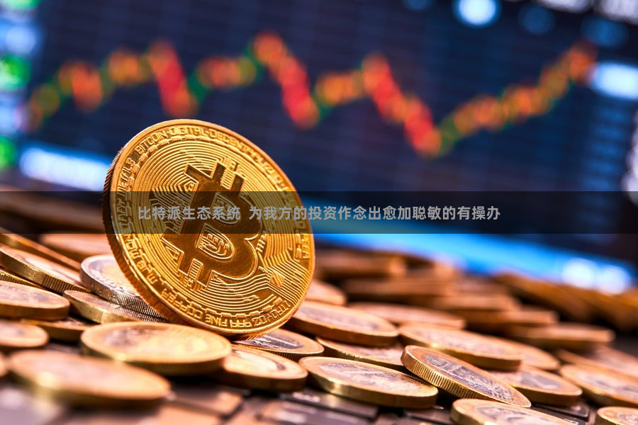 比特派生态系统  为我方的投资作念出愈加聪敏的有操办