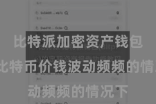 比特派加密资产钱包  在比特币价钱波动频频的情况下